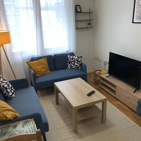 Daire August Disc - Long - Contractors Bristol